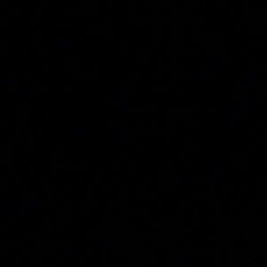 Meet your Posher, Vivien